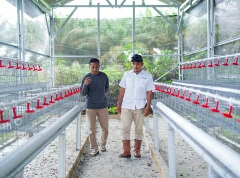 program TJSL PT Timah